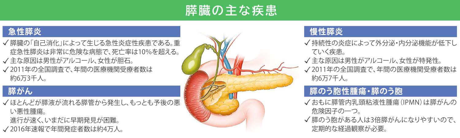 膵臓の主な疾患