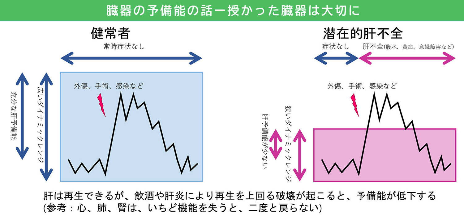 臓器の予備能の話 ― 授かった臓器は大切に