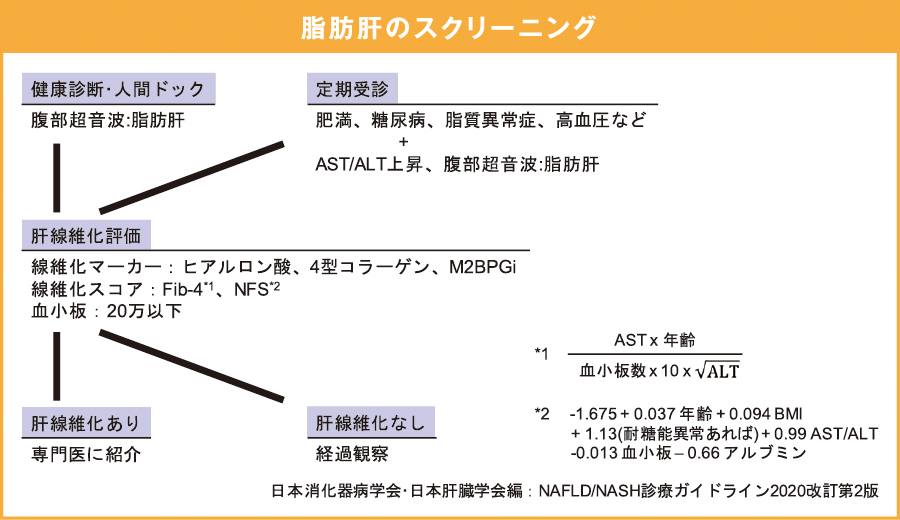 脂肪肝のスクリーニング